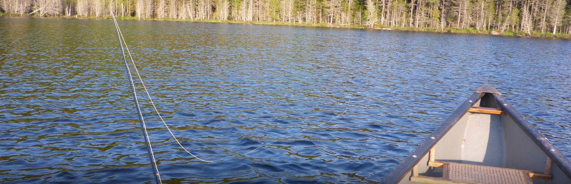 Spaulding Lake Outfitters Canoe & Camping