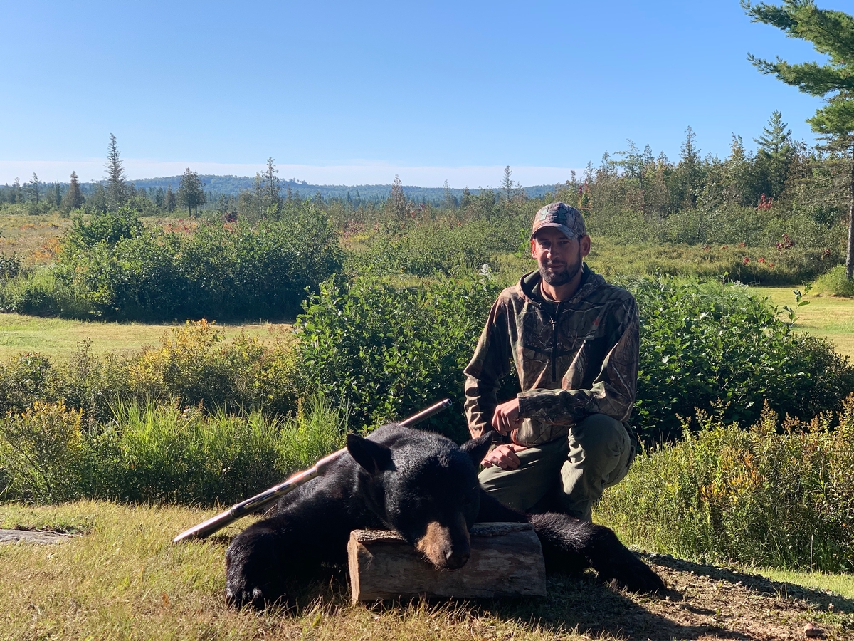 Guided Maine Black Bear Hunts with Hounds Maine Bear Hunting Guide