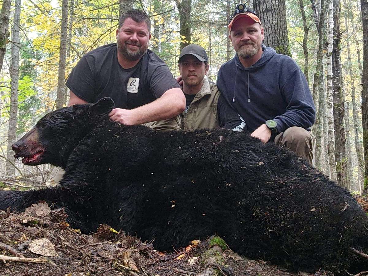 Maine Bear Hunting Season Dates