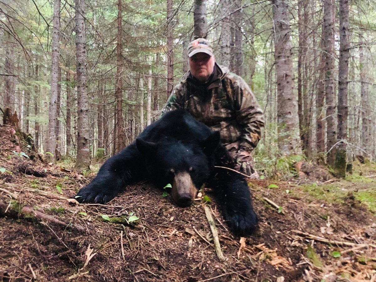 bear hunting trips in maine